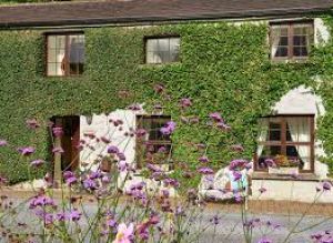 Lisdonagh Estate Self Catering